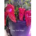 Large Sweet Antigua Pepper Seeds Large Sweet Antigua Pepper Seeds