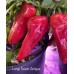 Large Sweet Antigua Pepper Seeds Large Sweet Antigua Pepper Seeds