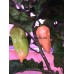 Pink Habanero