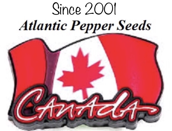 Atlantic Pepper Seeds 