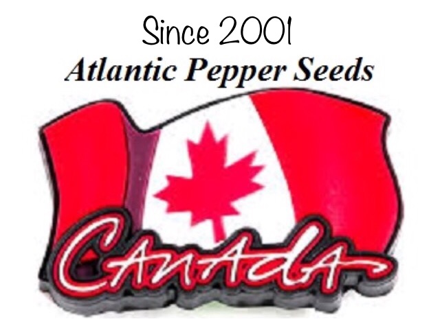 Atlantic Pepper Seeds Coupons & Promo codes